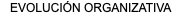 EVOLUCIÓN ORGANIZATIVA