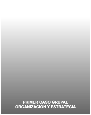 PRIMER CASO GRUPAL ORGANIZACIÓN Y ESTRATEGIA